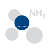 Amoniako (NH3) detektoriai
